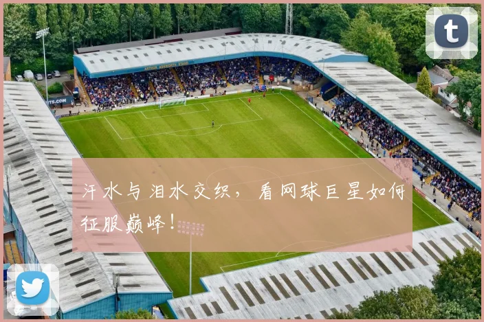 汗水与泪水交织，看网球巨星如何征服巅峰！